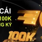 Khám phá chung về hoạt động nhà cái tặng 100k